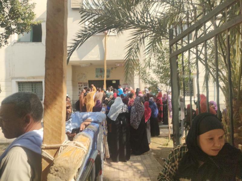 بوابة البرلمان