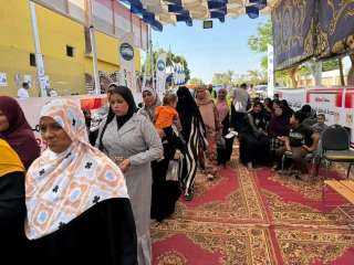 استمرار توافد الناخبين بمحافظة أسوان في انتخابات مجلس النواب 2025