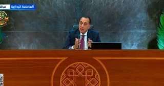 رئيس الوزراء: الدولة لديها خطة طموحة للطاقة الجديدة والمتجددة