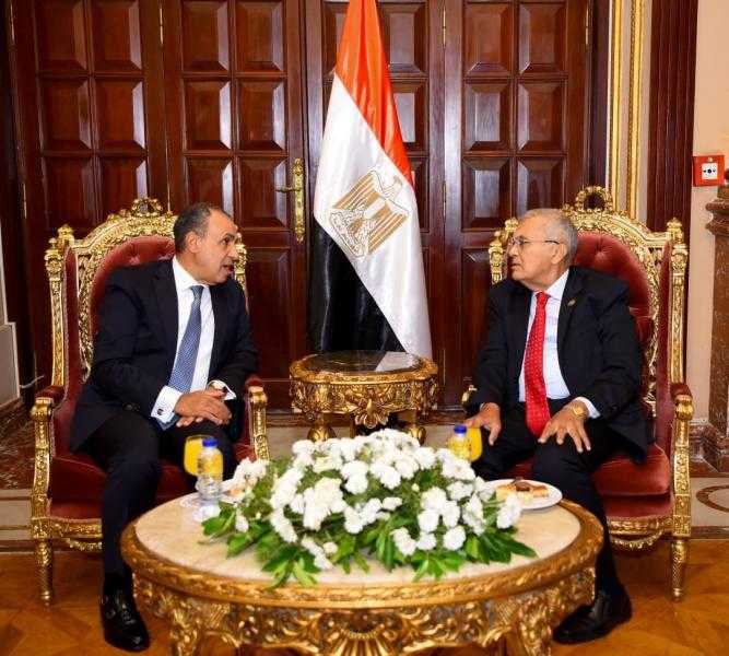 وزير الخارجية يلتقي رئيس مجلس الشيوخ