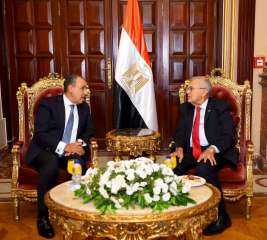 وزير الخارجية يلتقي رئيس مجلس الشيوخ