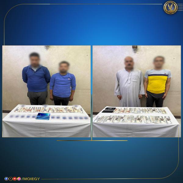 بوابة البرلمان