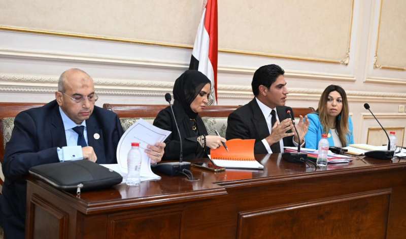  اللجنة الاقتصادية بالشيوخ