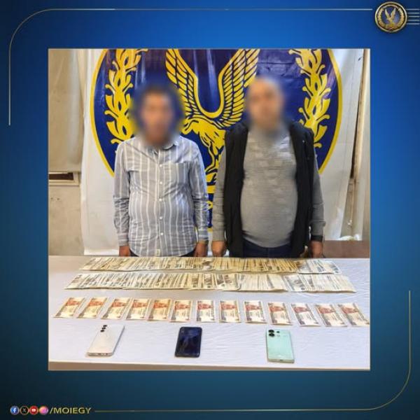 بوابة البرلمان