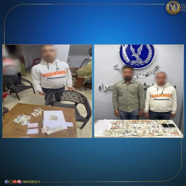 بوابة البرلمان