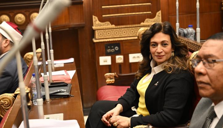 النائبة نيفين فارس تتقدم بدراسة أثر تشريعي حول المادة (60) من قانون العقوبات بشأن العنف الأسري