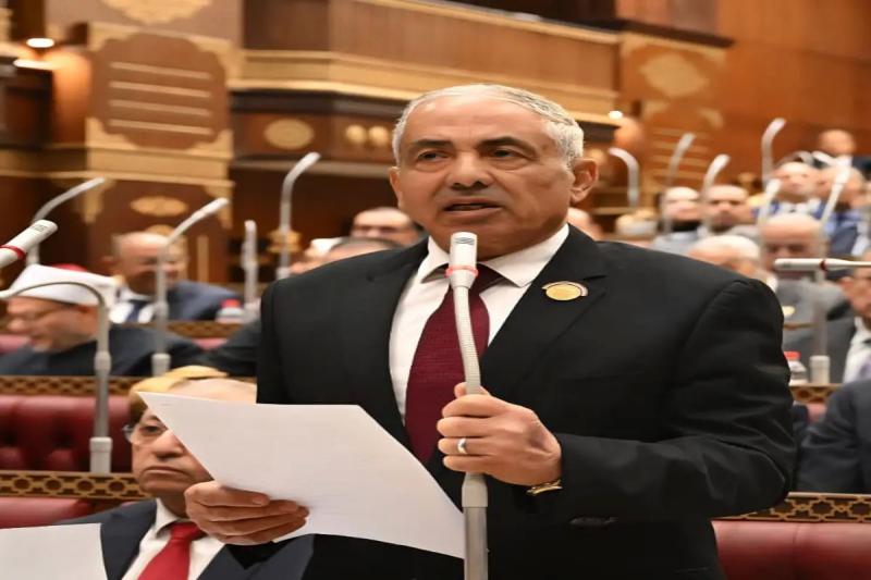 وكيل مجلس الشيوخ: حماية الكهرباء جزء من الأمن القومى للدولة