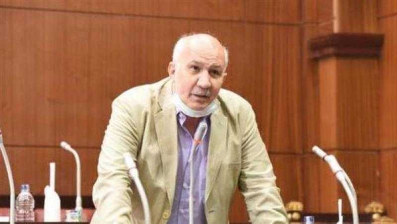 برلمانية التجمع: تعديلات قانون الكهرباء خبيثة واعتبار المواطن حرامى غير مقبول