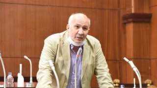 برلمانية التجمع: تعديلات قانون الكهرباء خبيثة واعتبار المواطن حرامى غير مقبول