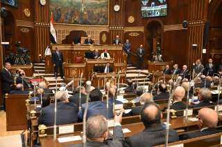 برلمانيون يطالبون بتمييز العقوبات بين استهلاك الكهرباء السكنى والصناعى