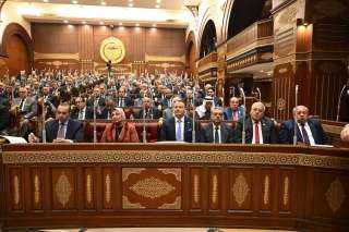 الشيوخ يوافق مبدئيًا على تعديل قانون الكهرباء