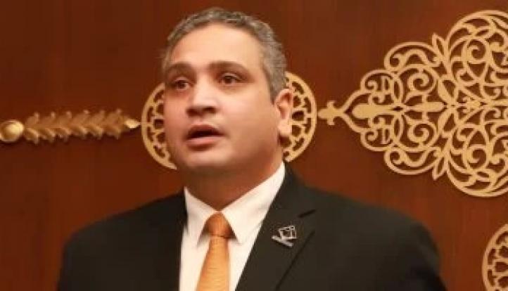 النائب عماد خليل أمام الشيوخ: خسائر سرقة الكهرباء بلغت 50 مليار جنيه