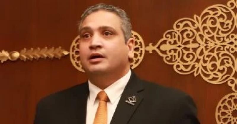 النائب عماد خليل أمام الشيوخ: خسائر سرقة الكهرباء بلغت 50 مليار جنيه