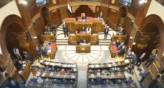 تحت قبة «الشيوخ».. توافق برلماني على تطوير المهن الرياضية والاعتماد على علوم الرياضة