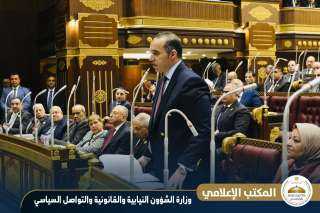 محمود فوزي أمام الشيوخ: لا تدخل بتعديلات قانون المهن الرياضية فى عمل النقابة