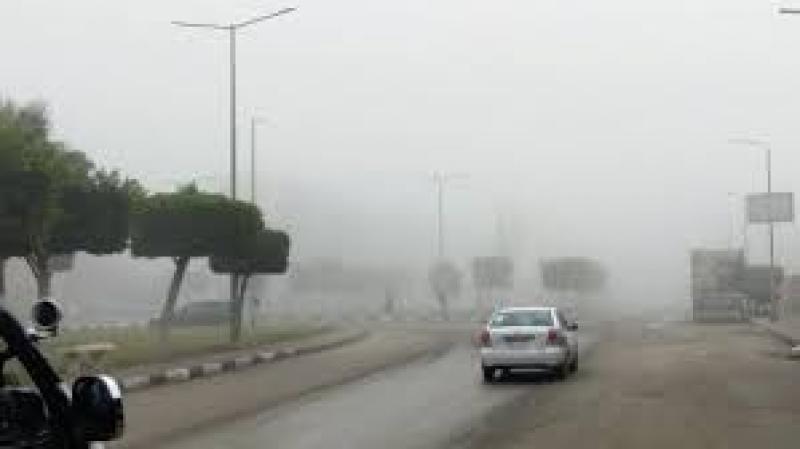 بوابة البرلمان