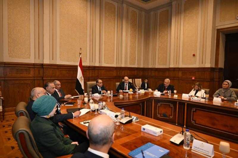 وزير الخارجية:الجماعة الإرهابية تستهدف مصر واستمرار التحرك الدولي ضرورة لمواجهة المخاطر