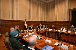 وزير الخارجية:الجماعة الإرهابية تستهدف مصر واستمرار التحرك الدولي ضرورة لمواجهة المخاطر