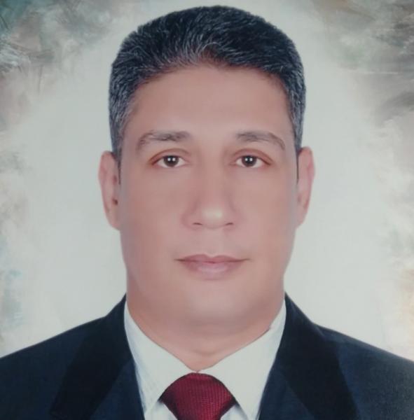 بوابة البرلمان