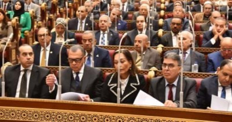 بوابة البرلمان