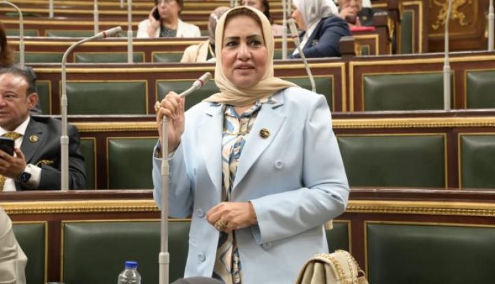 سحر صدقي: مجلس النواب الجديد متوازن ويعكس تنوع المجتمع المصري
