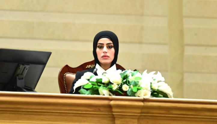 جيل جديد تحت القبه .. ساميه الحديدي صوت الشباب في البرلمان