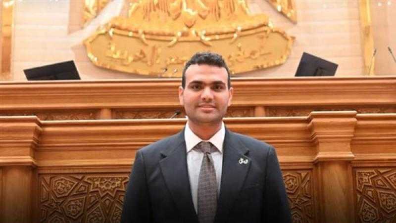 النائب حسين هريدي يطالب بكشف الموقف التنفيذي لمشروعات المسح السيزمي وخطط الاستكشاف البترولي