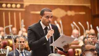 النائب محمد زكي: كلمة الرئيس السيسي في دافوس رؤية واضحة لمستقبل الشرق الأوسط