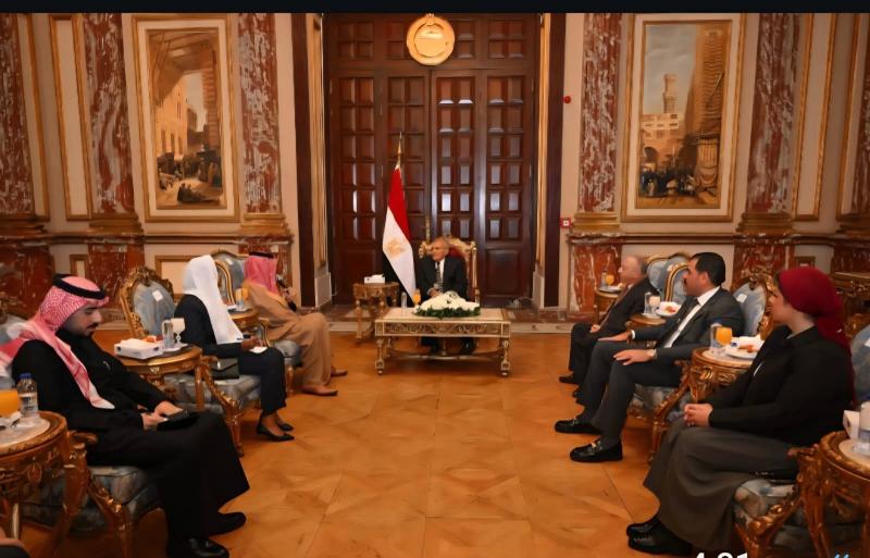 لقاء مصري- سعودي بمجلس الشيوخ لتعزيز التعاون وتبادل الخبرات التشريعية