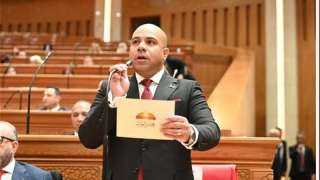 نائب العدل يتقدم بطلب إحاطة بشأن اختلالات الإسكان الاجتماعي