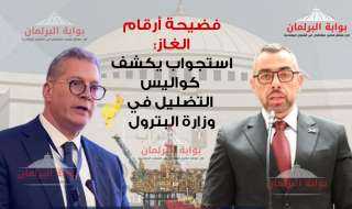 فضيحة أرقام الغاز: استجواب يكشف كواليس التضليل في وزارة البترول فضيحة أرقام الغاز: استجواب يكشف كواليس التضليل في وزارة البترول
