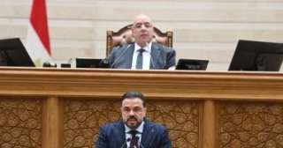 النائب محمد مجاهد: تعديلات قانون المهن الرياضية تعزز الثقة والشفافية النائب محمد مجاهد: تعديلات قانون المهن الرياضية تعزز الثقة والشفافية