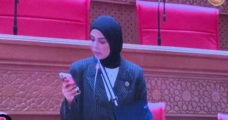 بوابة البرلمان