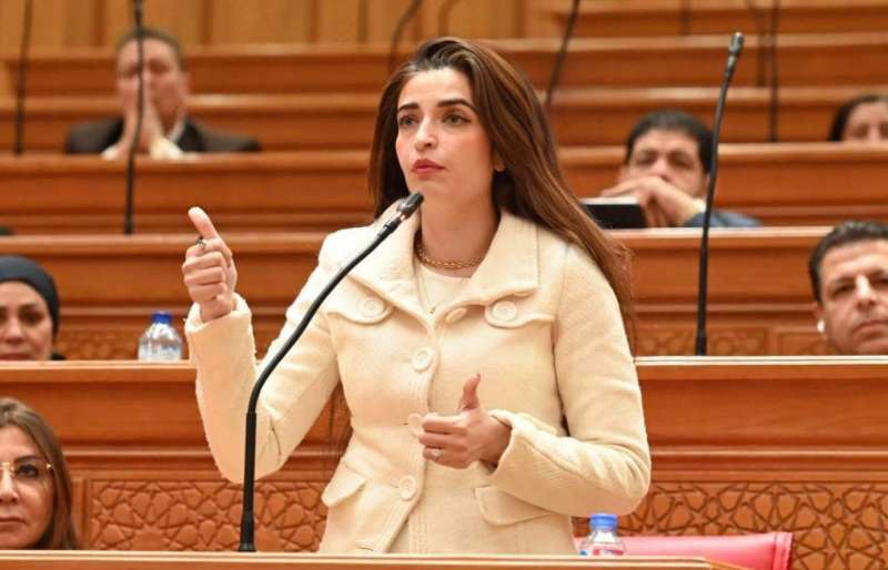 بوابة البرلمان