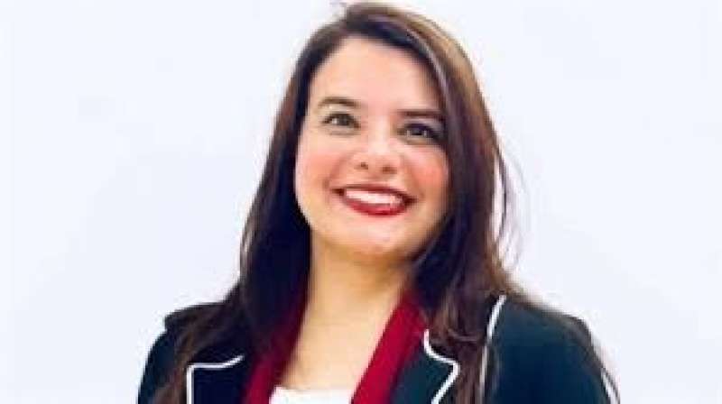 بوابة البرلمان