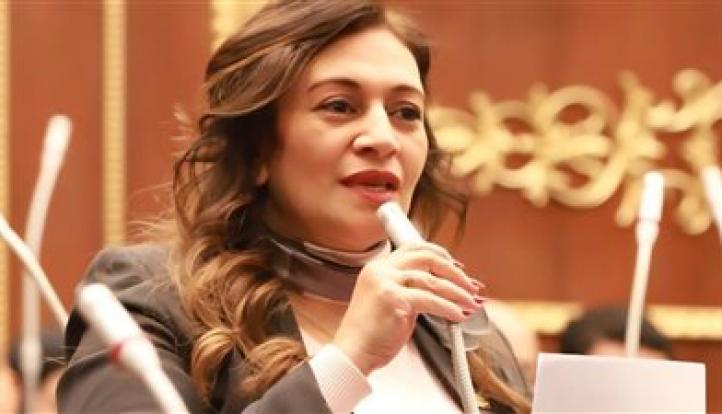 النائبة نفين فارس: زيادة أسعار المترو اختبار صامت لعلاقة المواطن بالحياة الكريمة