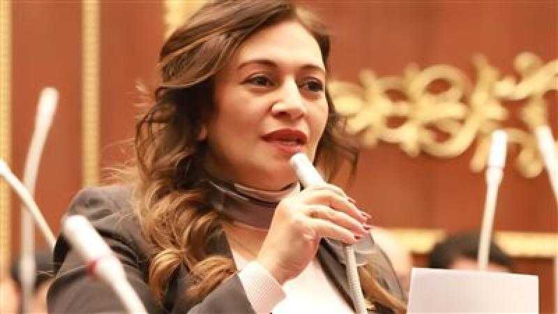 النائبة نفين فارس: زيادة أسعار المترو اختبار صامت لعلاقة المواطن بالحياة الكريمة