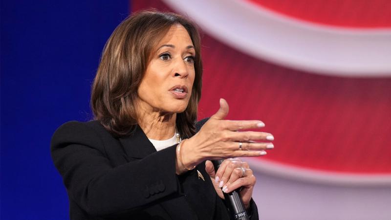 بوابة البرلمان