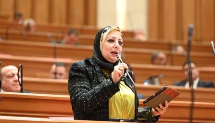 النائب نسرين صلاح عمر تقترح استخراج DNA  للمواليد ... وشرط أساسي لإجراءات الزواج