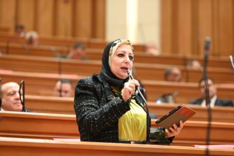 النائب نسرين صلاح عمر تقترح استخراج DNA  للمواليد ... وشرط أساسي لإجراءات الزواج