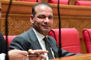 النائب أحمد إسماعيل: قانون حماية المنافسة خطوة حاسمة لمواجهك الاحتكار وتعزيز بيئة الاستثمار