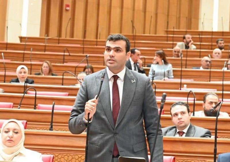  النائب حسين هريدي