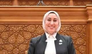 صافيناز طلعت تتقدم بطلب إحاطة حول نقص فصائل الدم النادرة: أزمة إنسانية وتكلفة تتجاوز 30 ألف جنيه للكيس