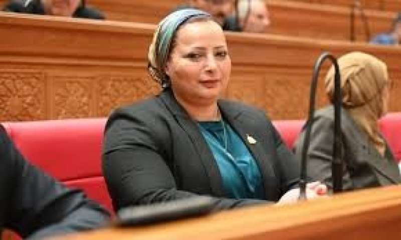 بوابة البرلمان