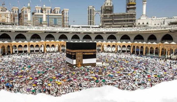 الجمعة..  انطلاق أول أفواج حجاج الجمعيات الأهلية إلى المدينة المنورة