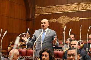 النائب شعبان رأفت: جولة الرئيس السيسي الخليجية تعزز الأمن القومي العربي وثقل مصر الإقليمي