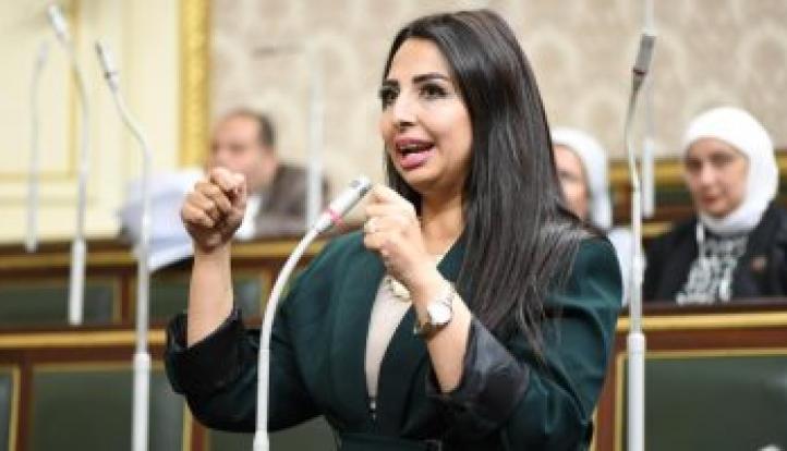 نشوى الشريف تتقدم بطلب إحاطة بشأن الارتفاع المفاجئ لفواتير العدادات الكودية