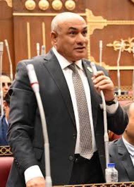 النائب