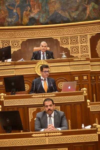 نائب يستعرض طلب المناقشة أمام الشيوخ بشأن النهوض بقطاع الطيران