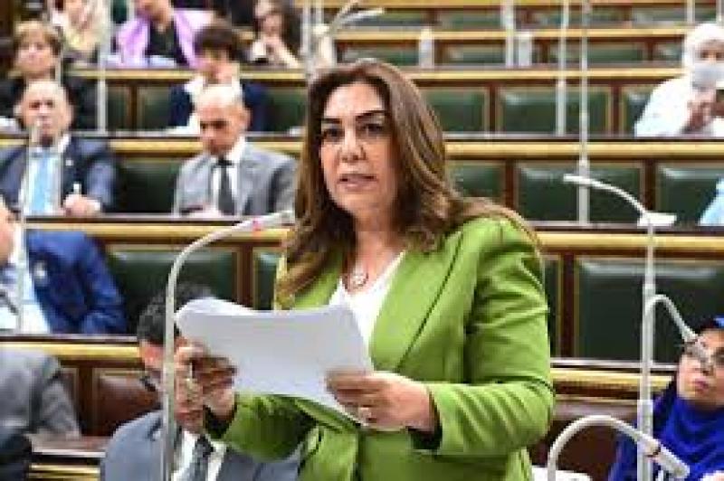 وزيرة التنمية المحلية